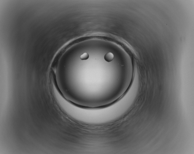 X0000115531364200911061432