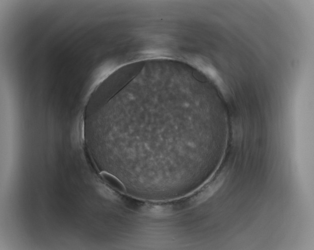 X0000115531365200911061432