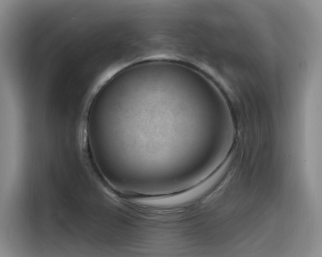 X0000115531367200911061432