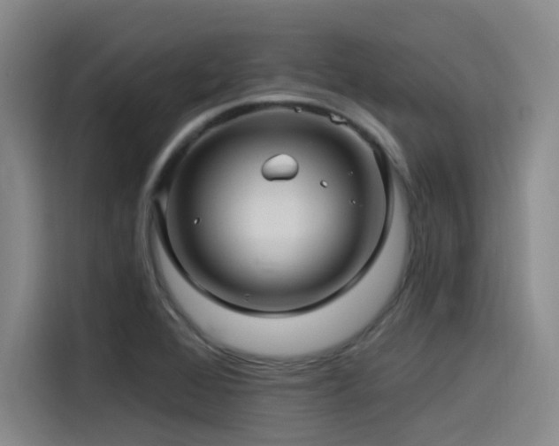X0000115531368200911061432