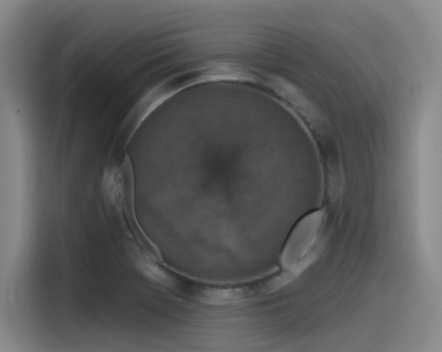 X0000115531369200911061432