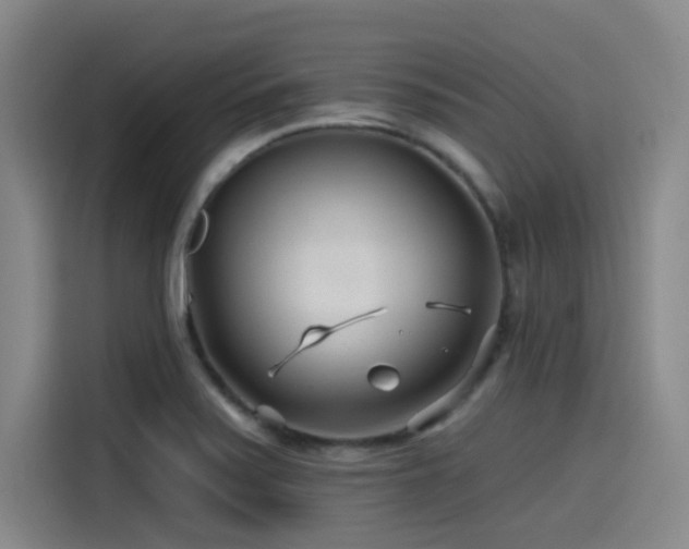 X0000115531371200911061432