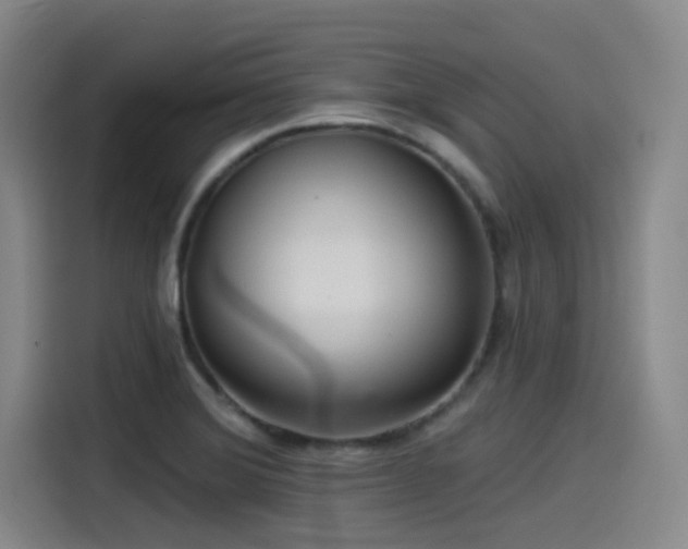X0000115531372200911061432