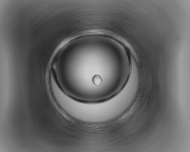 X0000115531373200911061431