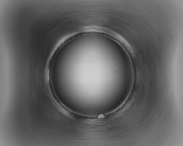 X0000115531376200911061431