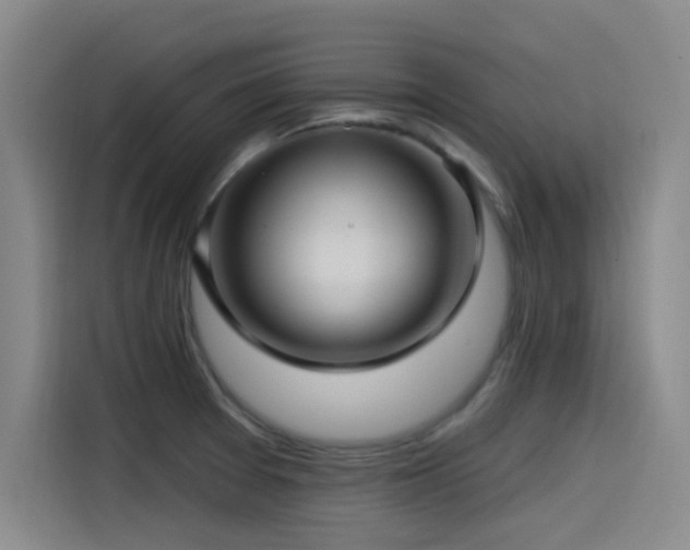 X0000115531377200911061431