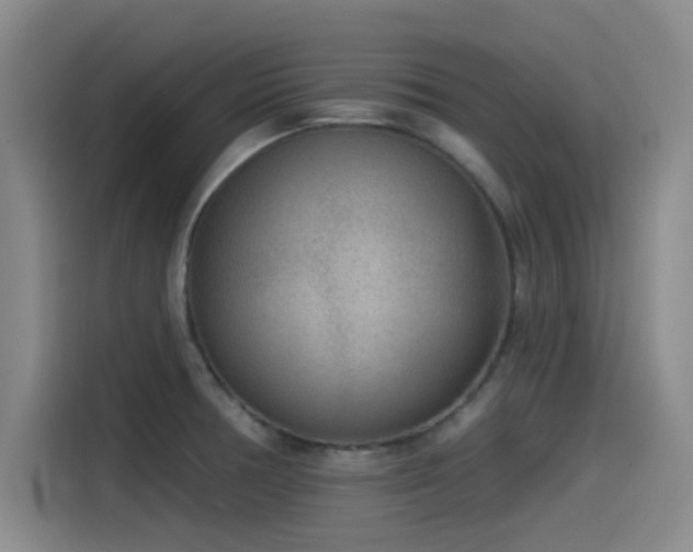 X0000115531378200911061431