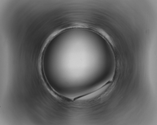 X0000115531379200911061431