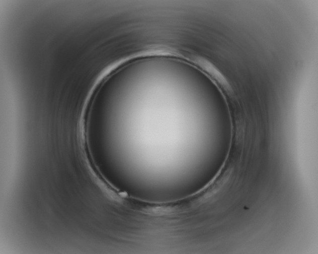 X0000115531380200911061431