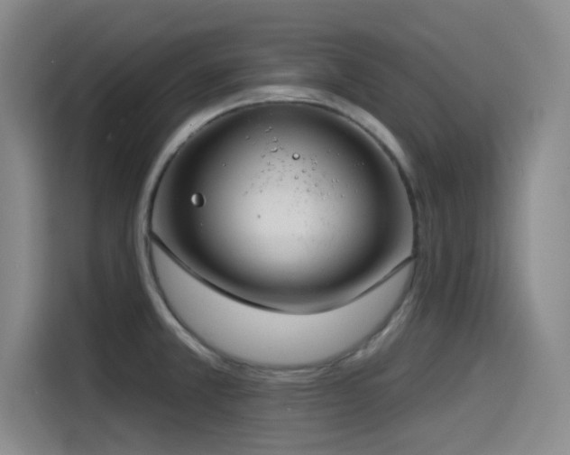 X0000115531381200911061431