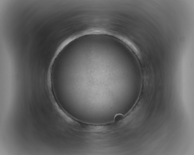 X0000115531382200911061431