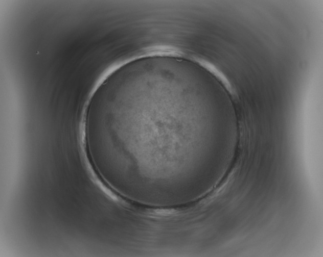 X0000115531383200911061431