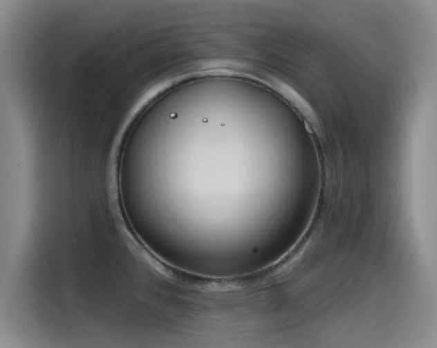 X0000115531384200911061431