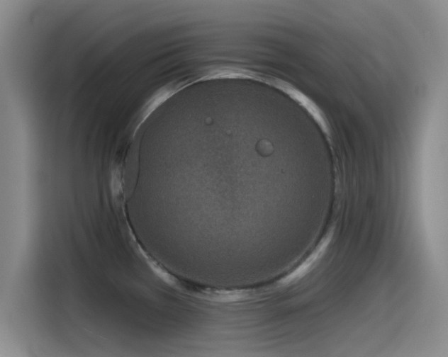 X0000115531385200911061431