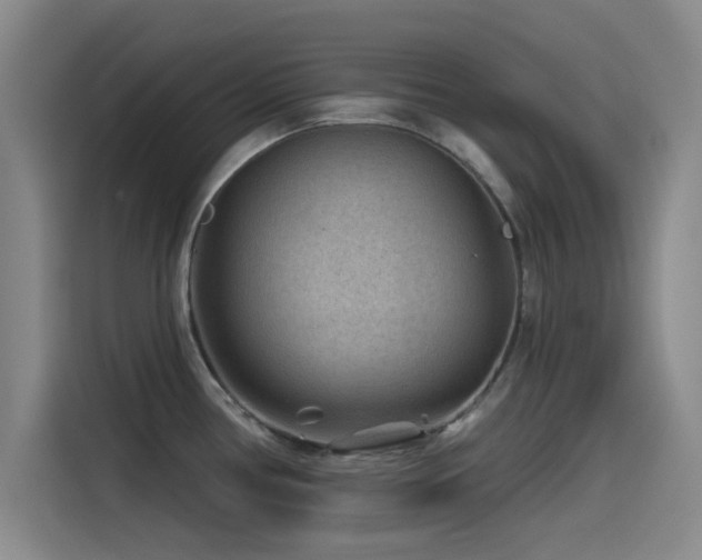X0000115531386200911061431