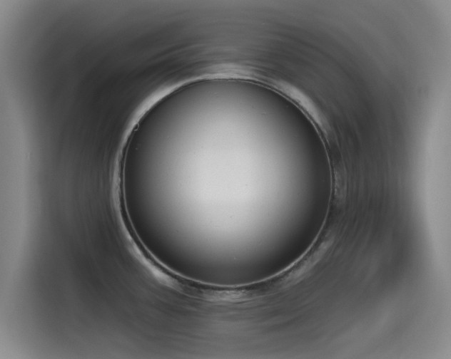 X0000115531387200911061431
