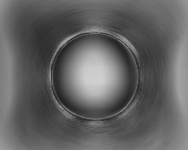 X0000115531388200911061431