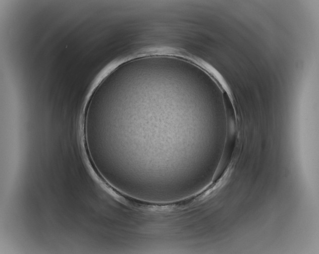 X0000115531389200911061431