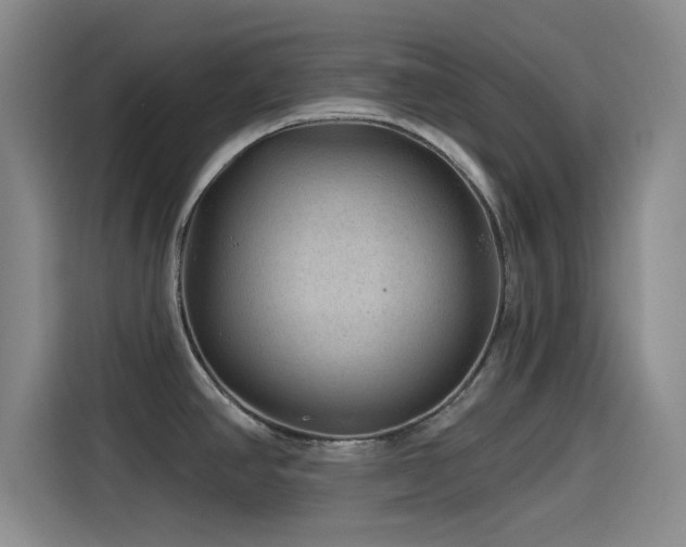 X0000115531390200911061431