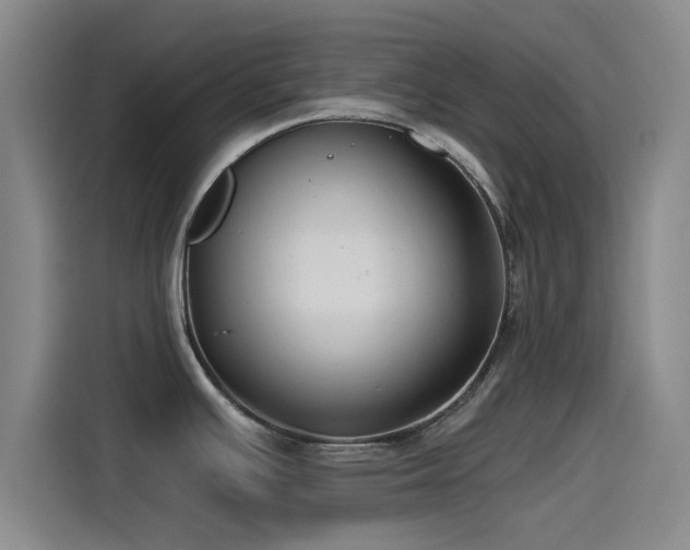 X0000115531391200911061431