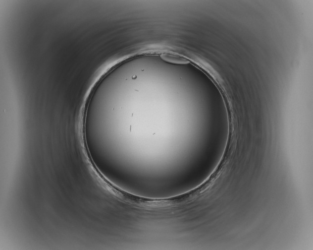 X0000115531392200911061431