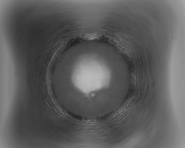 X0000115531393200911061431