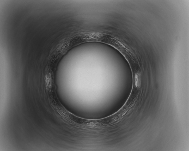 X0000115531395200911061431