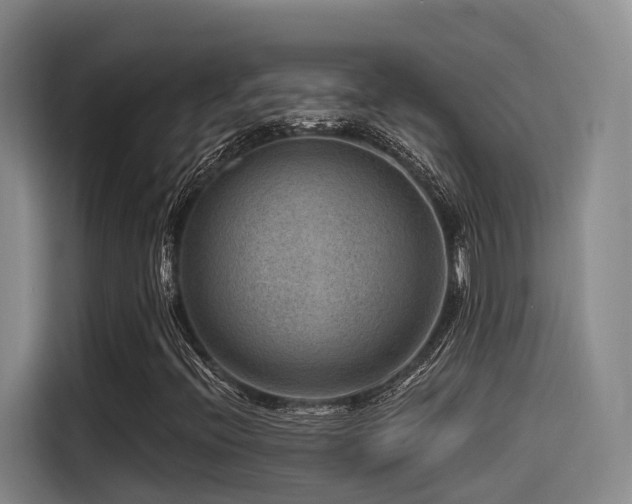 X0000115531396200911061431