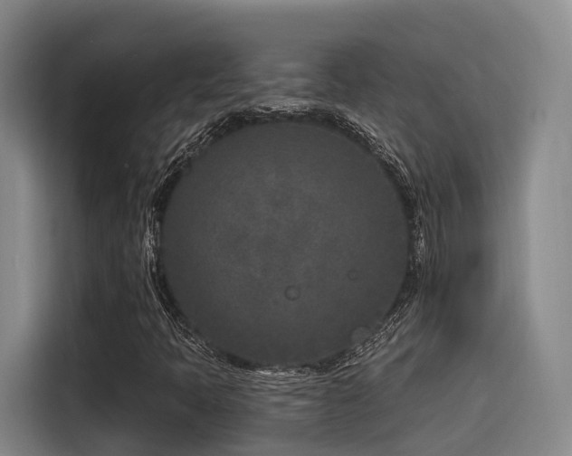 X0000115531397200911061431