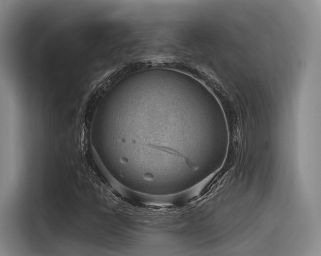 X0000115531398200911061431
