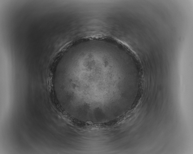 X0000115531399200911061431