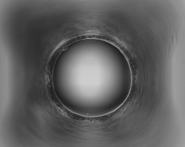 X0000115531400200911061431