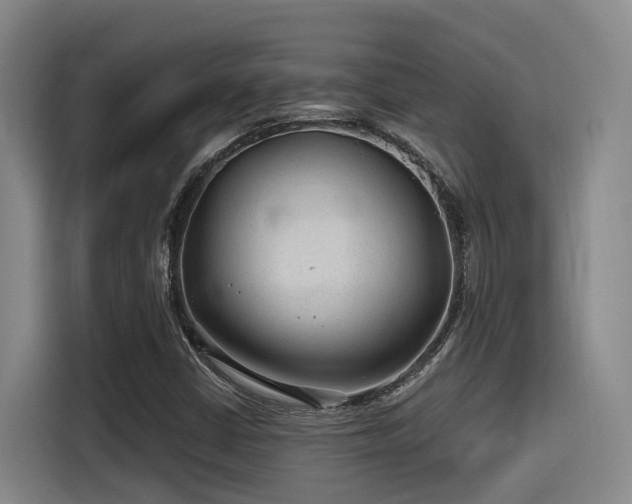 X0000115531402200911061431