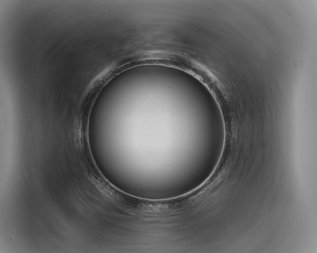 X0000115531403200911061431