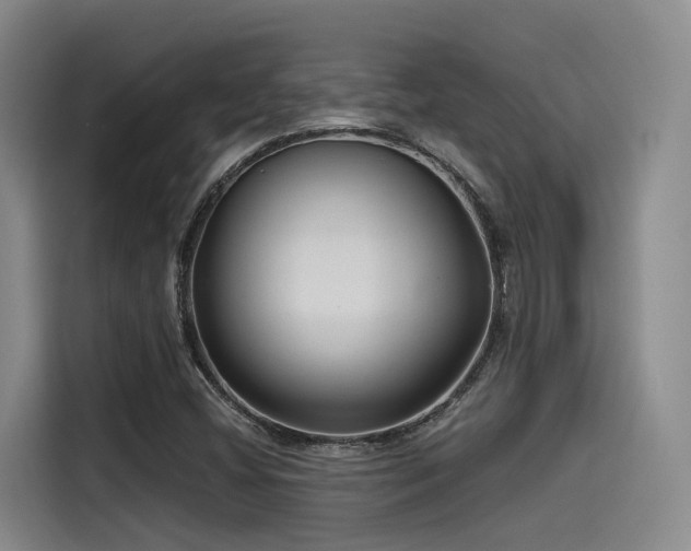 X0000115531404200911061431