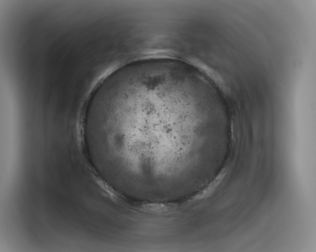 X0000115531405200911061431