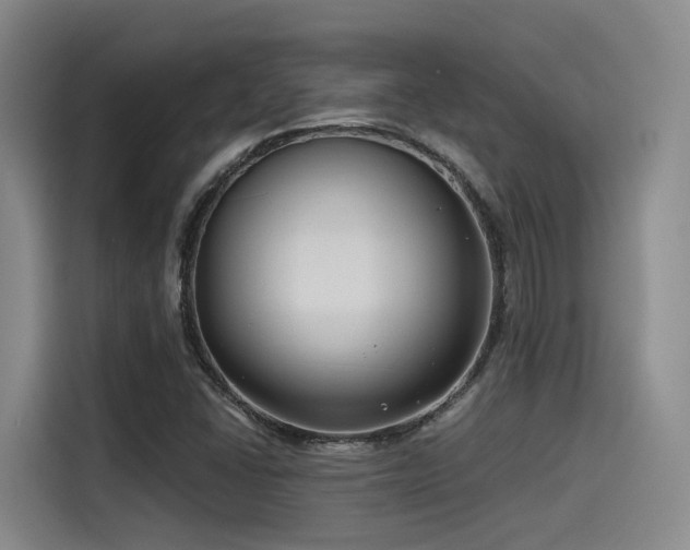 X0000115531406200911061431