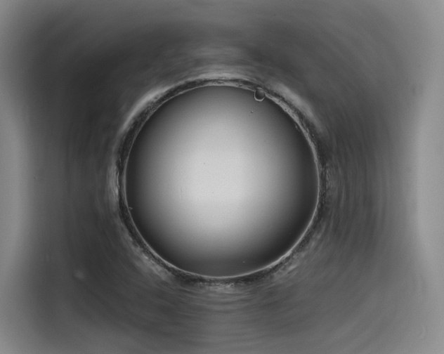 X0000115531408200911061431