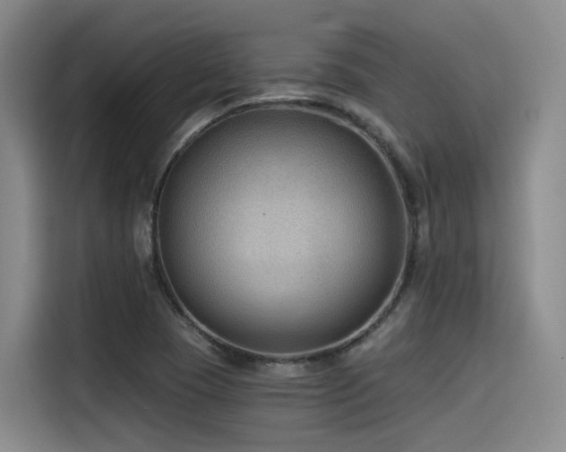 X0000115531409200911061431