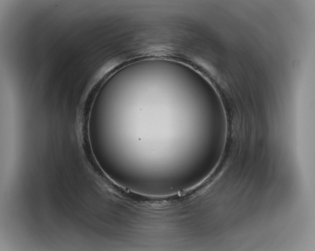 X0000115531410200911061431