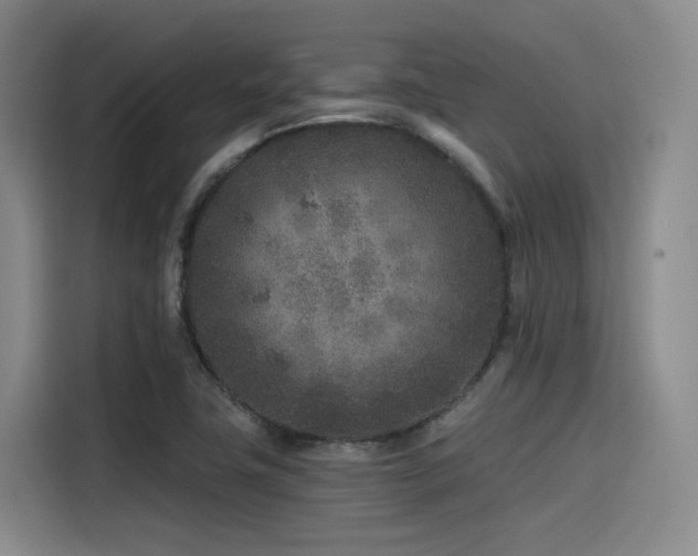 X0000115531411200911061431