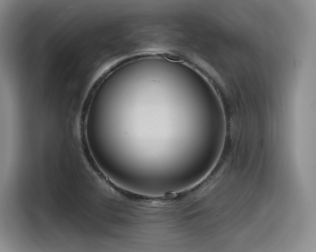 X0000115531412200911061431
