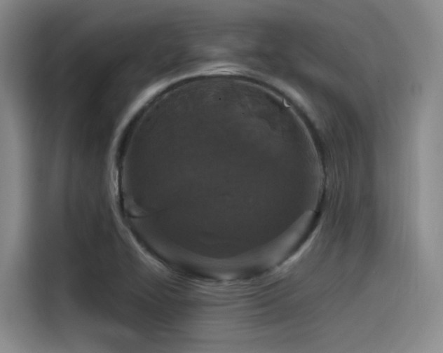 X0000115531414200911061431