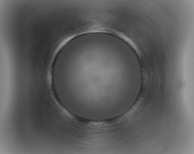 X0000115531415200911061431