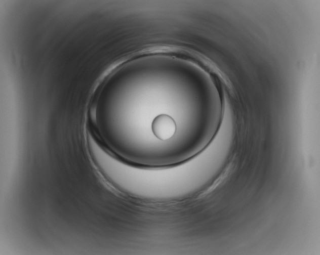 X0000115531417200911061431