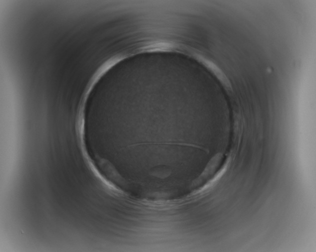 X0000115531418200911061431