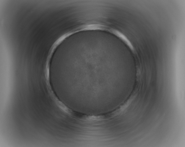 X0000115531419200911061431