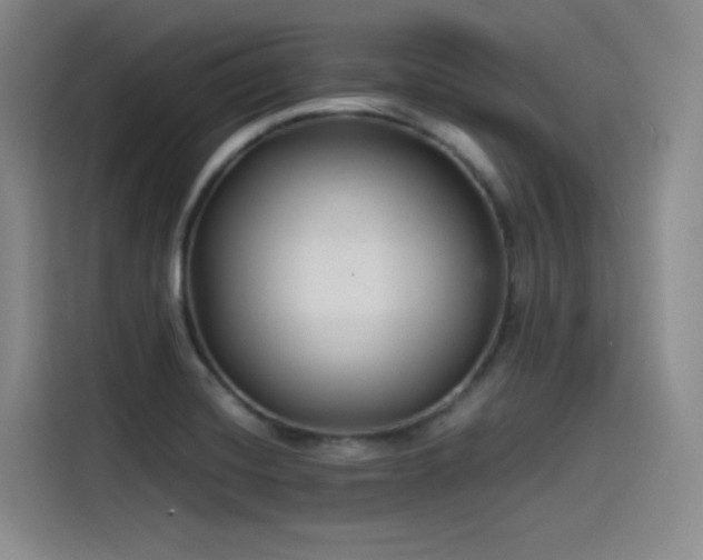 X0000115531420200911061431