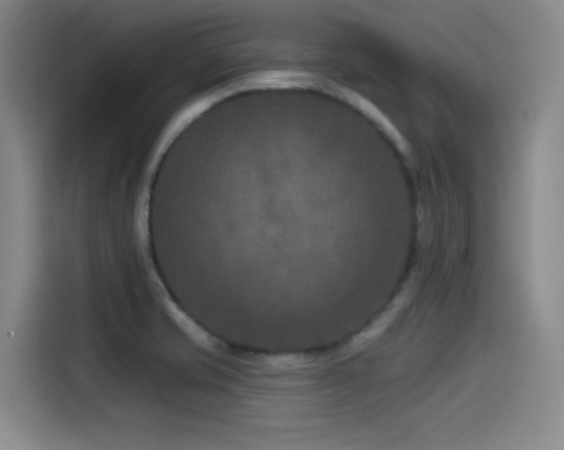 X0000115531421200911061431