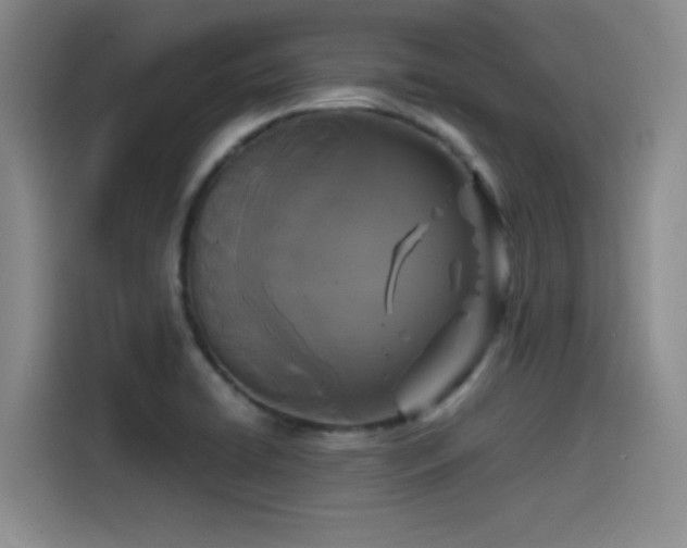 X0000115531422200911061431